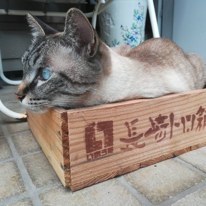 94e2fc14 53e8 4f77 895e 0eeb1030a94f 1594813513765