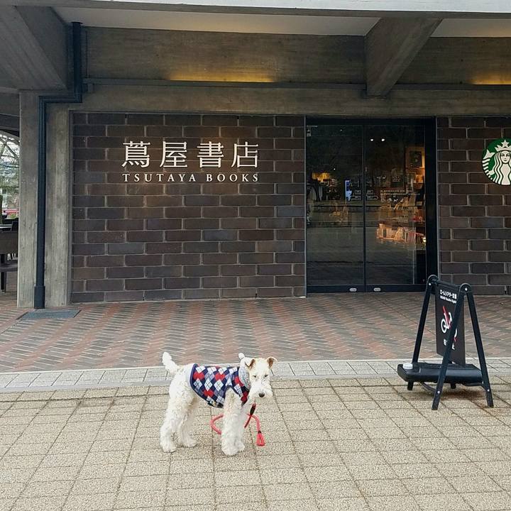 94e30087 0142 4d4e b6a1 4a4bd9eba77d 1764160781504