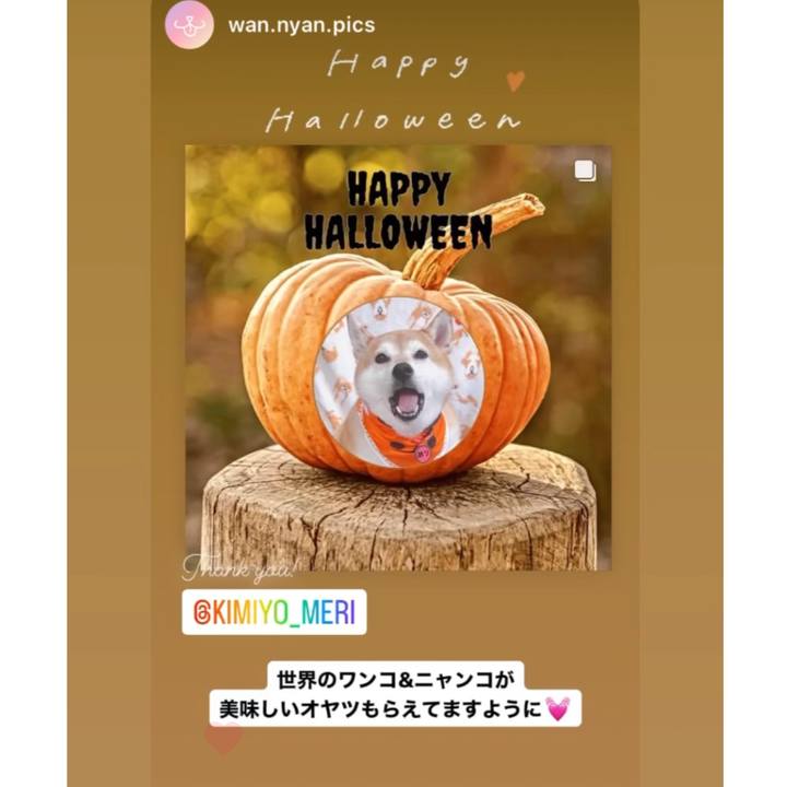 94e30446 1052 4d0c a1f4 e5a9d6d9b2e5 1698796960639