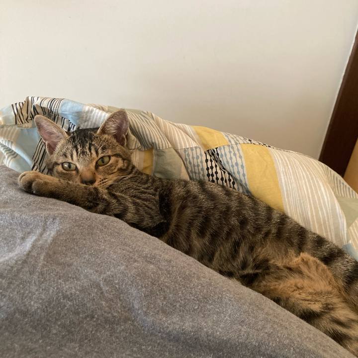 94e39f1a 4d50 4452 9839 46576012dea4 1664684498682