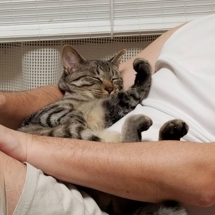 94e3b816 2e98 4cfc 8474 8d7b97547bee 1680177563779