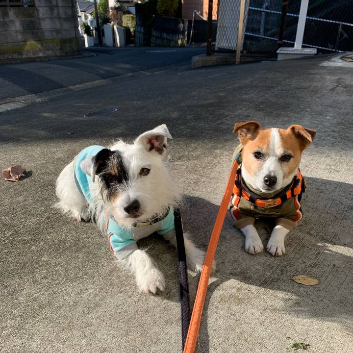 94e3caa0 138c 4282 9187 403874afc6b1 1638663383548