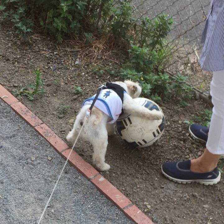 94e40687 0436 44f0 b328 e0d7ea2731cc 1524482732808