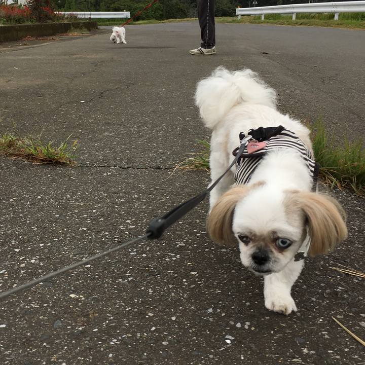 94e4cc2f 8cfa 4bc8 a93a 557deff2b3b5 1569202829251