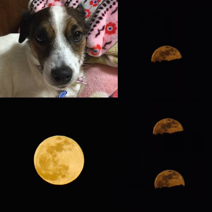 94e51702 8d2f 4ee8 9548 fb658eecbbb0 1548062079669