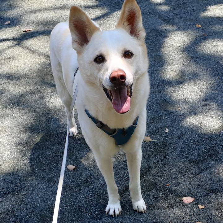 94e54198 dafa 48c4 b1c5 ad38b52e767b 1651551598237