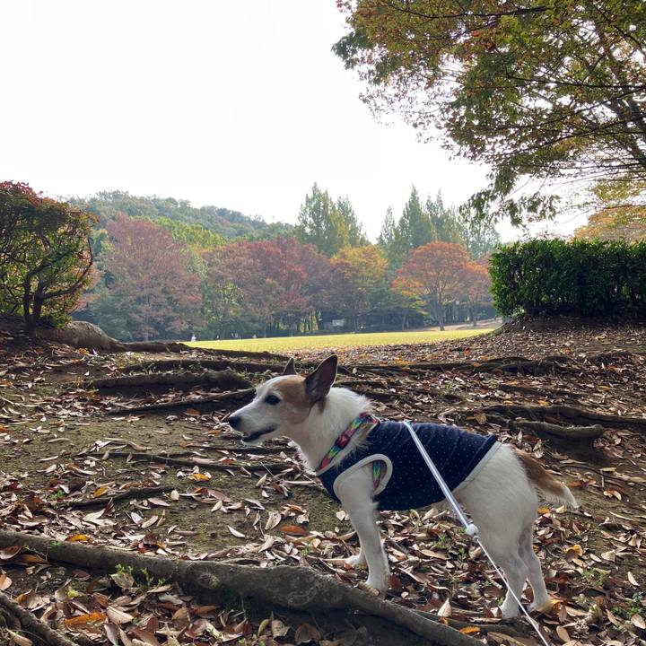 94e5425f 816c 4fd6 8080 ed72492fb85d 1699226645335