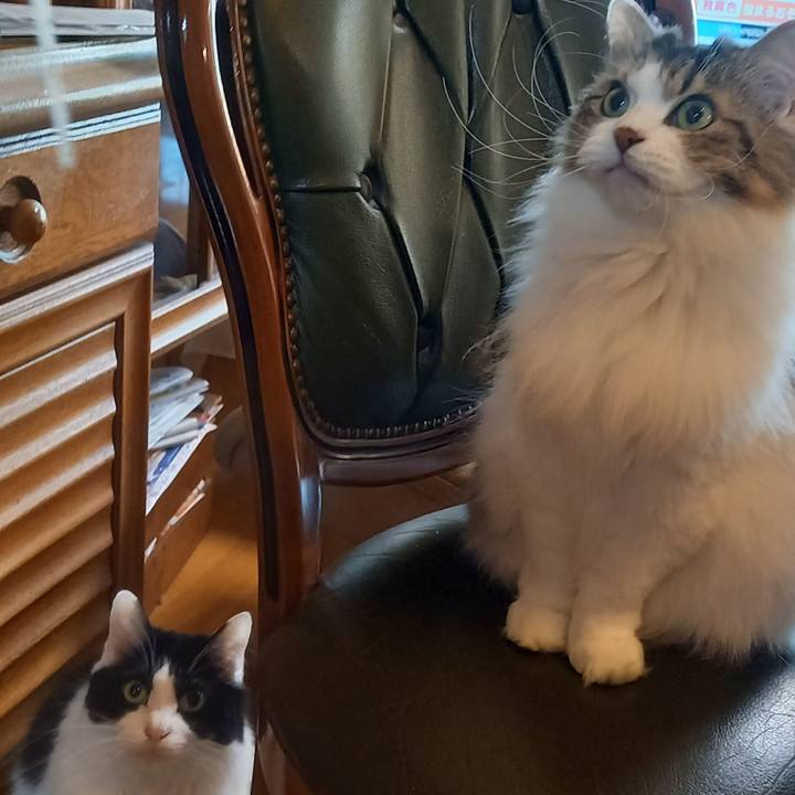 94e55267 4ee4 47ff bbb9 286cab7e2748 1671750167045