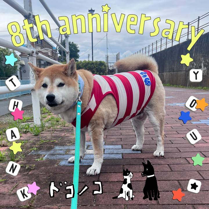 94e5743e a355 461d 8538 36267c956cc7 1717906019607