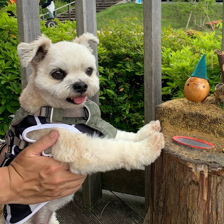 94e5a6ae 70af 466d a27f 7ad81e982e96 1654572846835