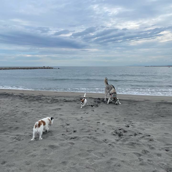 94e5ab5b 8451 4845 878c e7400952b7a7 1696035155766