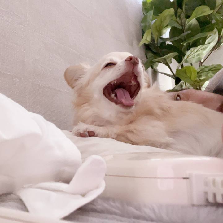 94e5b650 60e3 400b aec9 d061545ab205 1743814609977