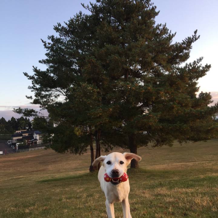 94e5c634 901e 4f7e b662 34c1007cbcb7 1510317973150