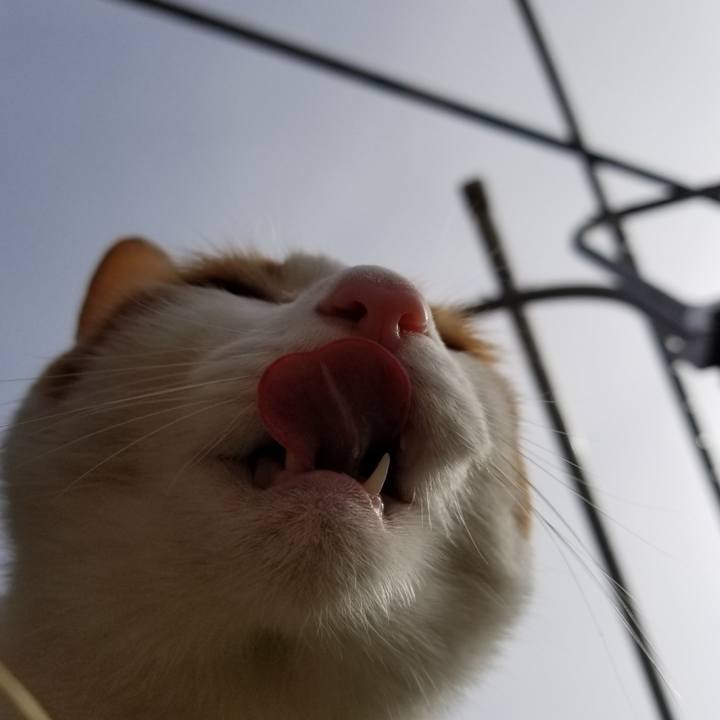 94e5f897 9cd6 4099 bb41 4921b51dd1b4 1517641462477