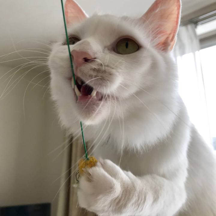 94e5ff4d 66fa 480d bcd8 8f1b83121115 1572232755939