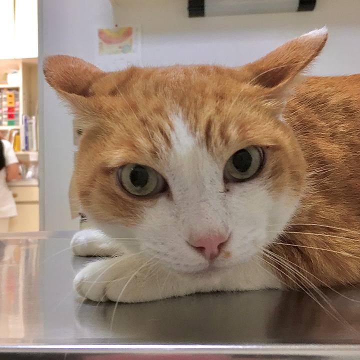 94e61f1a 0bd0 4dae 9710 ef18a6524ee7 1573029194348