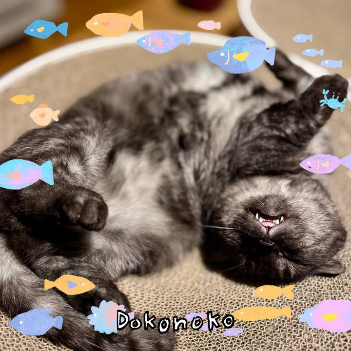 94e624ea ec85 45b7 8ec9 8b0d74cd8efd 1755520792164