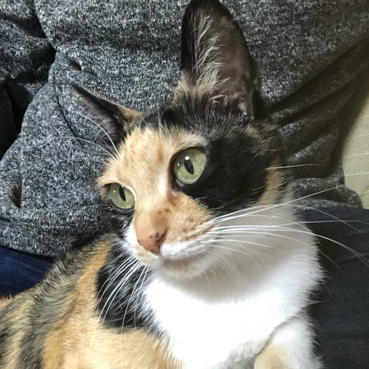 94e62fbe e418 447f bc88 34a2266585a3 1580739277157