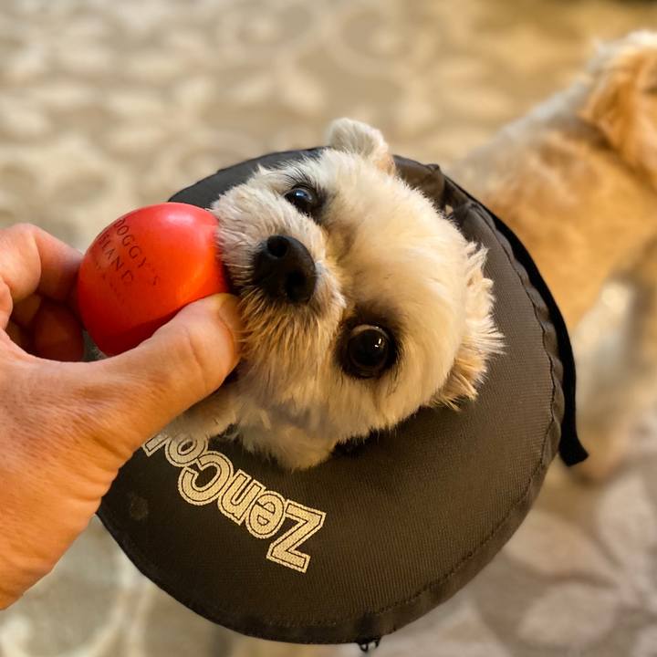 94e634d4 ddab 4b94 800e ccb69daeb2ca 1573509182803