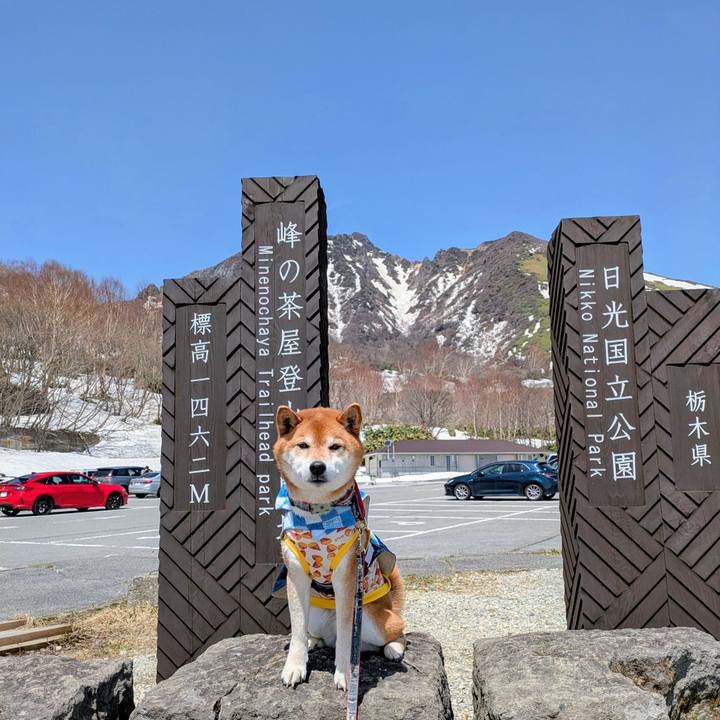 94e64e76 762e 45dc a796 b58228bed791 1745413379922