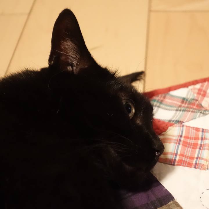 94e6627a 0983 4e5b aebb 4cadb9403f88 1518270202514