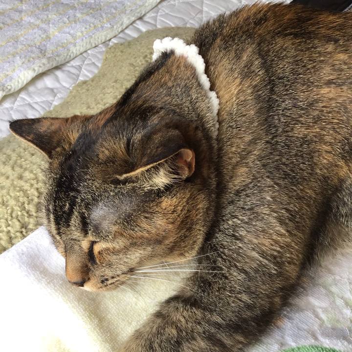 94e66e2c fd9b 430d be3f 46c1b1d2162d 1687354571071