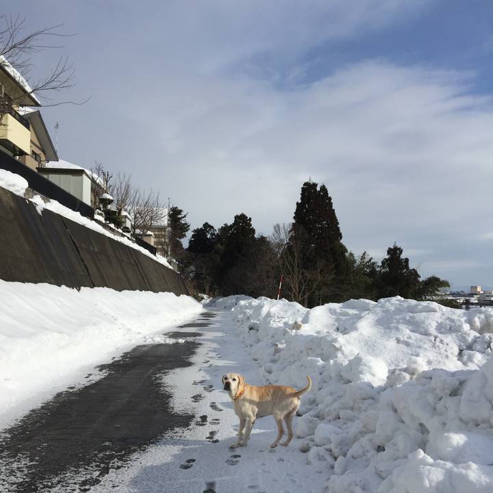 94e71496 9cea 427c 9742 6b030472ef27 1517705362114