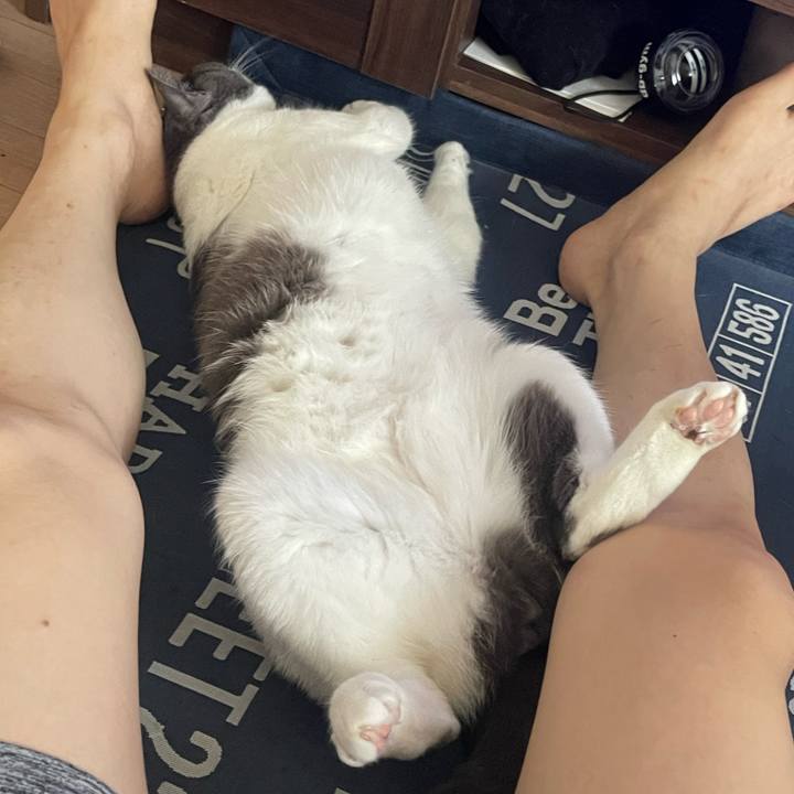 94e71b14 f8f1 43a8 85a1 5e4beb117ba0 1694759651462