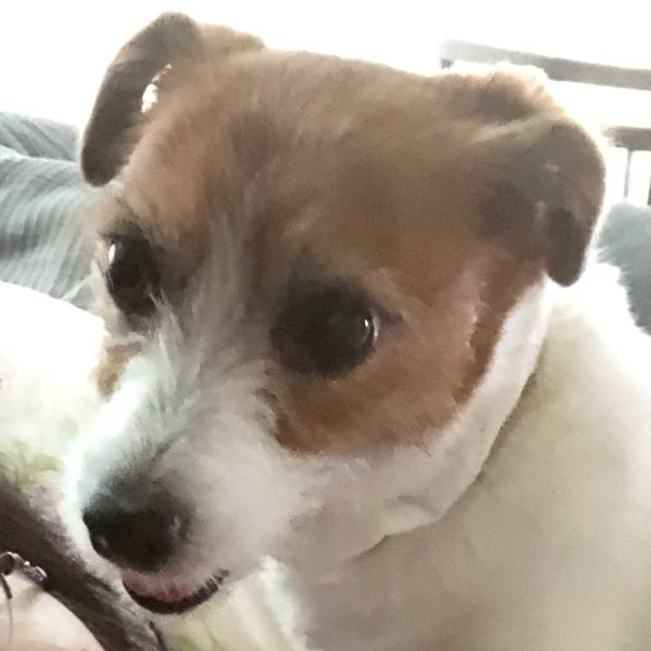 94e7484b bbec 4272 97fc c2b6796fc67d 1590313418632