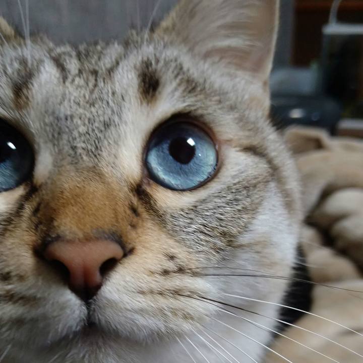 94e75822 edf7 4188 bbd3 611cbb456248 1679063022759