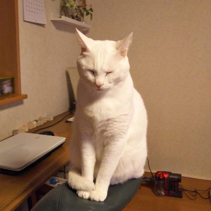 94e77163 d71d 4b5b 9268 6df68664c37d 1546900575561