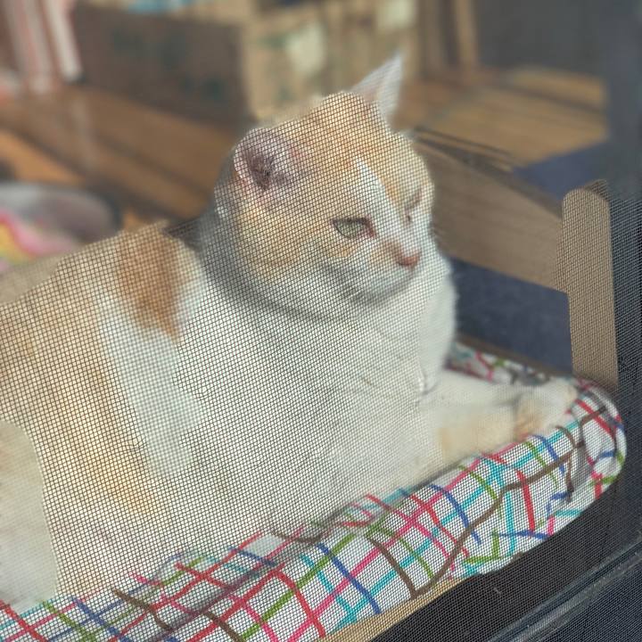 94e7abb8 6f45 4ffc b9e0 859508d135a1 1541287922644