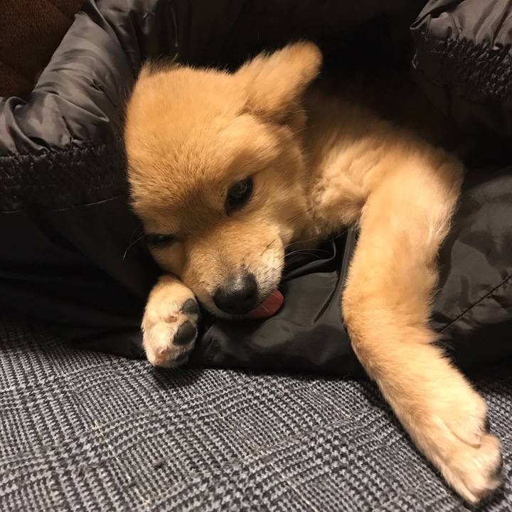 94e7e9ca 7c68 42b8 8841 86dafe48caa7 1579258669480