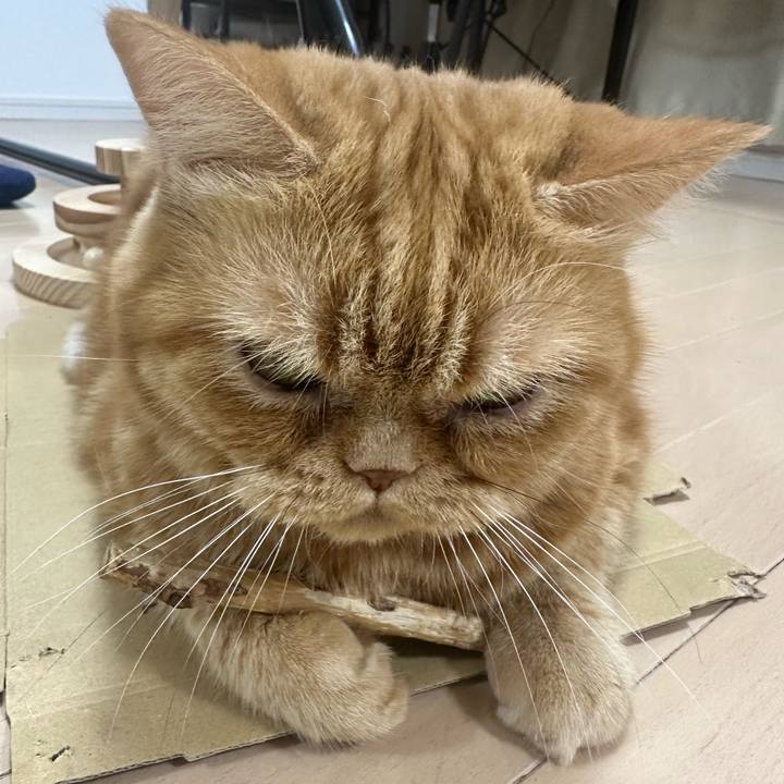 94e80353 b8ed 4782 99fe 2bbe31e8946c 1759496367569