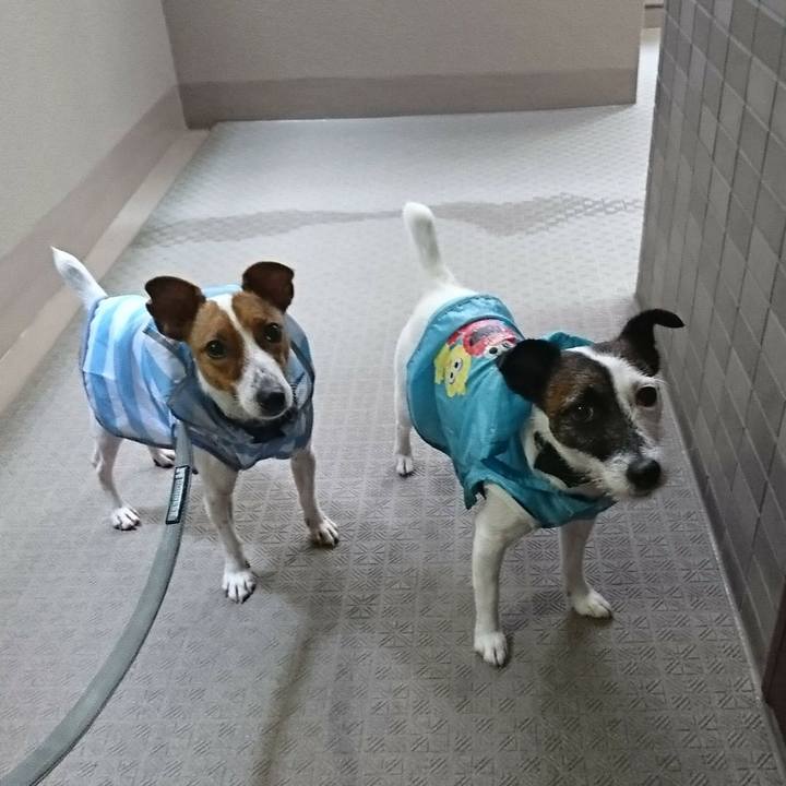 94e81d34 ee55 4ab8 9197 0d9ccf127cb8 1530828221893