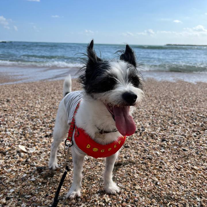 94e8641e a05d 4cef bd1e db631870c7d5 1669609176411