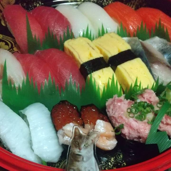 94e8e616 ca6c 4c25 b348 216a4cb85054 1730716449660