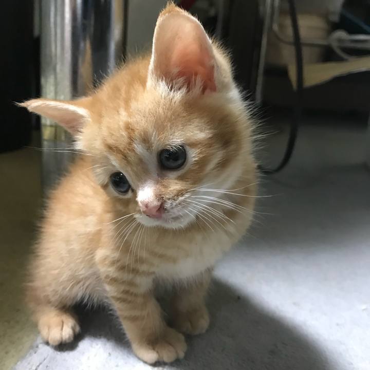 94e91cbd 5a32 4f04 8ac3 66fe9dec0e4d 1575198601232