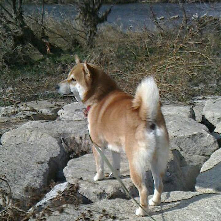 94e92b94 0a56 4858 ad01 95c598b6987c 1515651602946