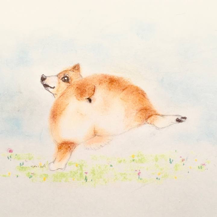 94e93d8f 2d49 4d40 9aec 560e04b221af 1570517129157