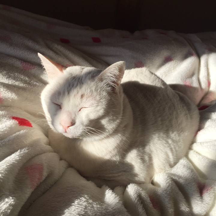 94e9932a cb0e 482a a614 901cf133564c 1519082427147