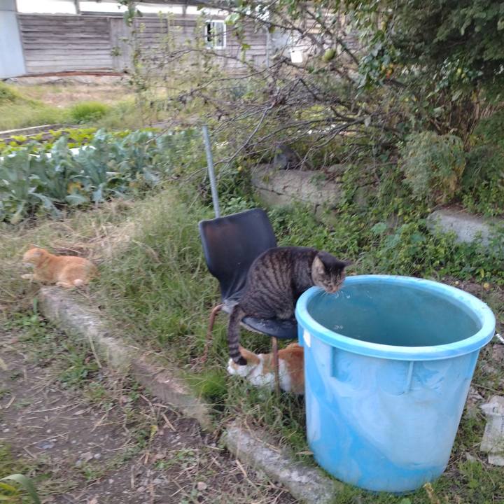 94e9b349 96c2 49b0 85e5 79c0b1f3e589 1759222765055