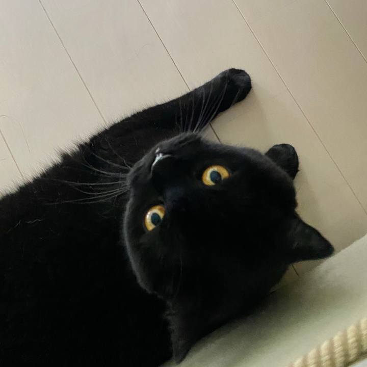 94e9ec0a 8c9e 4c60 b0c0 630d4fe398e7 1596847434009