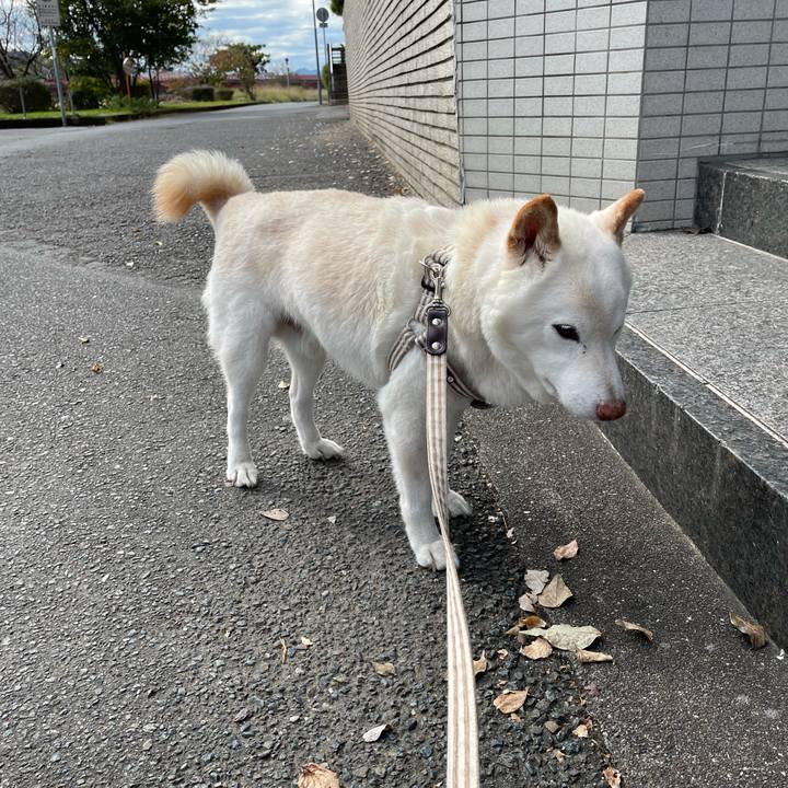 94e9f095 587b 4267 90b0 274f1f9620f5 1636266771411