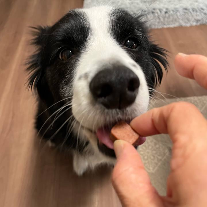 94ea035d f913 4c23 ac2d 7682e4c0f584 1773268711248