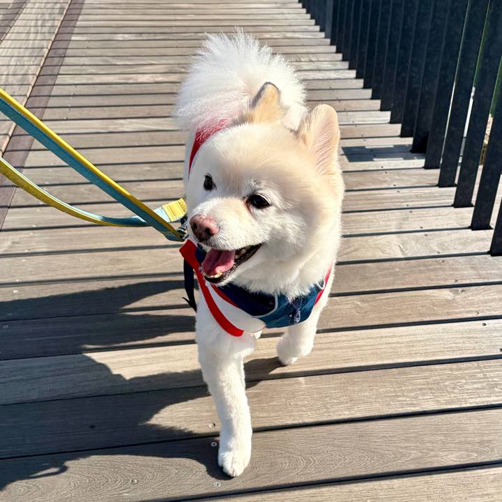 94ea4213 45f6 406e b1df 4d141310dc2f 1769671941810