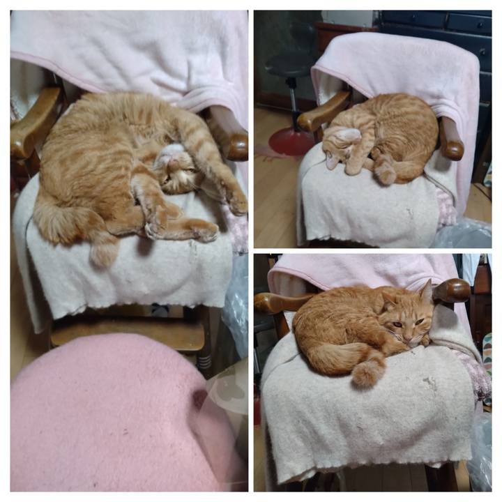 94ea5d96 a71f 4814 bc46 67a6fd0ff993 1667542563637