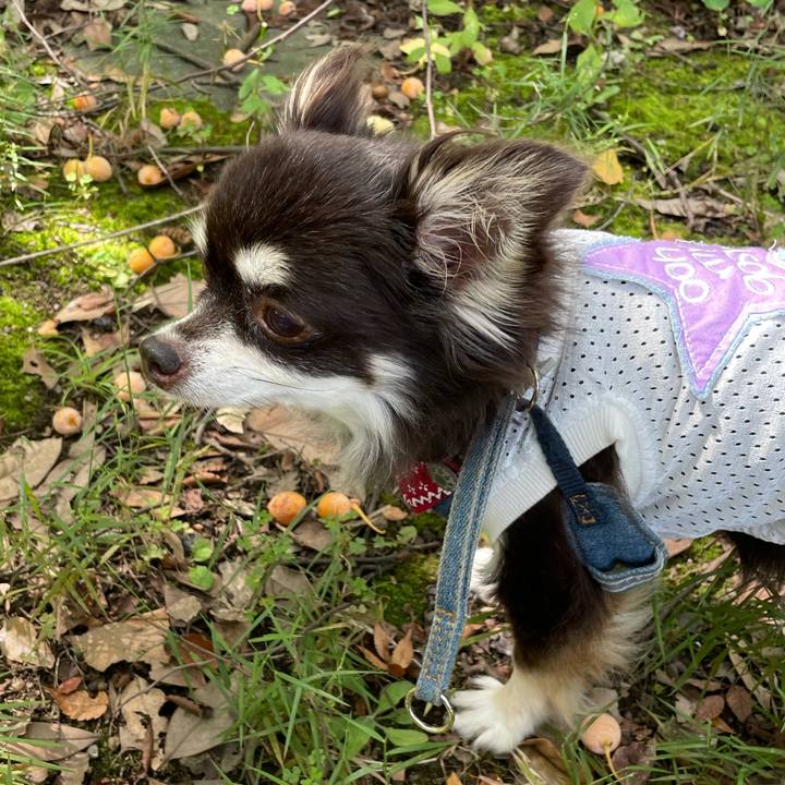 94ea6134 7e8e 4cbc a95f 8a33e10debbc 1631841252096