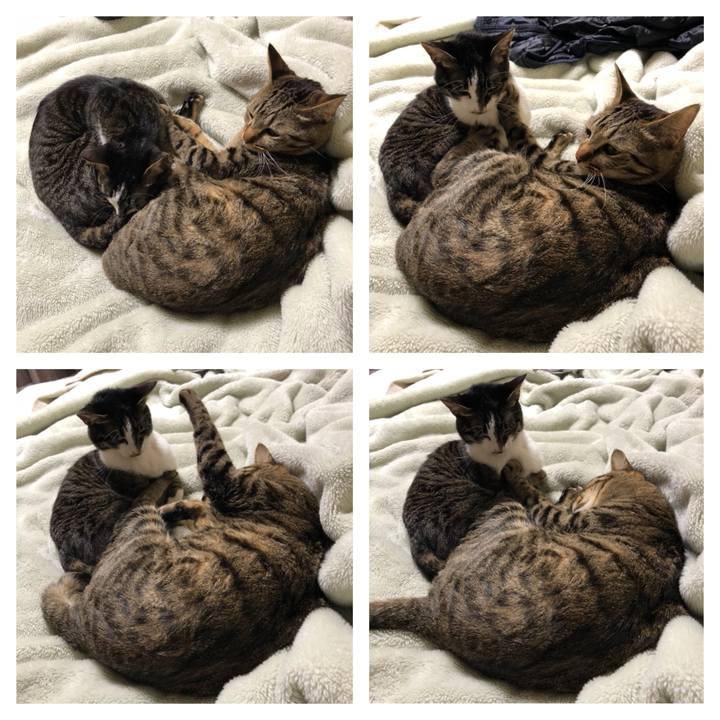 94ea61a6 6bc0 4a61 a110 0444f34221db 1523176455646