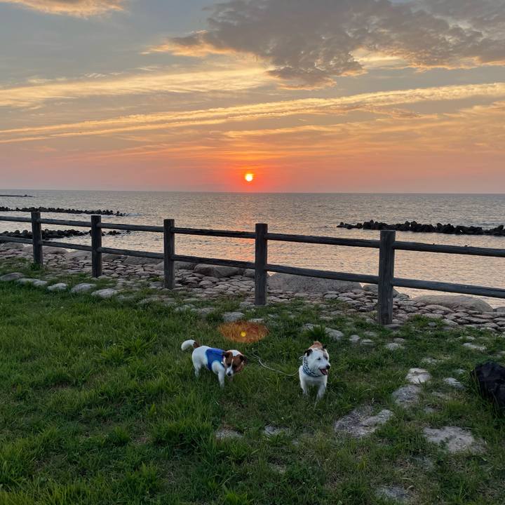 94ea6a89 d22b 4110 9c7c 19e3c0ae0d6c 1691316237024